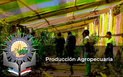 Produccion Agropecuaria